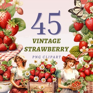 45 Vintage Erdbeere Clipart, hohe Qualität transparente PNGs, sofortiger Download, kommerzielle Nutzung - Farmers Markt Illustrationen, rote Früchte-Set