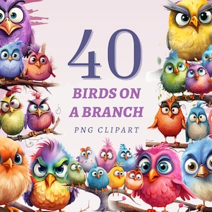 40 Birds on a Branch Clipart, High Quality Transparent PNGs, Instant Download, Commercial Use - Colorful Bird Artworks, Crazy Cartoons Set