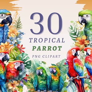 30 Tropical Parrot Clipart, High Quality Transparent PNGs, Instant Download, Commercial Use - Colorful Parrots, Feathered Friends, Printable