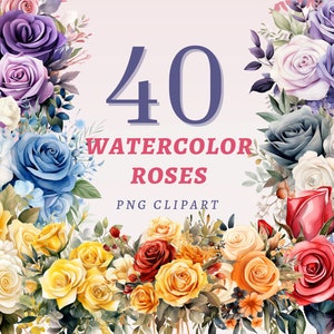 40 imágenes prediseñadas de rosas de acuarela, PNG transparentes de alta calidad, descarga instantánea, uso comercial - flores de rosas coloridas, impresiones de elementos florales