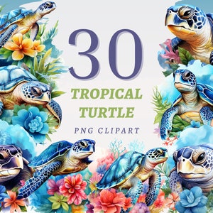 30 Imágenes Prediseñadas de tortugas tropicales, PNG transparentes de alta calidad, descarga instantánea, uso comercial - impresiones de verano azul, ilustraciones de tortugas marinas