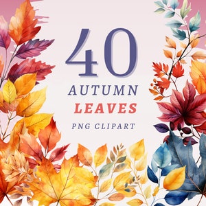 40 Herbst Blätter Clipart, hochwertige transparente PNGs mit Sofort-Download, kommerzielle Nutzung - Ahornblatt png, Herbst Fallende Blätter Drucke