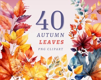 40 Autumn Leaves Clipart, High Quality Transparent PNGs with Instant Download, Commercial Use - Maple Leaf png, Autumn Falling Leaves prints