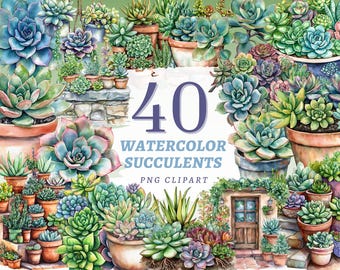 40 Succulent Clipart Pack, Botanical Plant PNG, Garden Decor Graphics Set, Digital Download