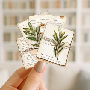 Puede incluir: Un conjunto de tarjetas de papel de estilo vintage con escritura a mano e ilustraciones de acuarela de ramas de olivo y peque&ntilde;as flores. Las tarjetas est&aacute;n atadas con hilo, creando una est&eacute;tica r&uacute;stica y bot&aacute;nica.