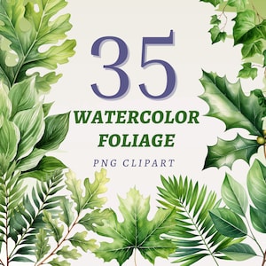 35 aquarel gebladerte clipart, hoge kwaliteit transparante PNG's, Instant Download, commercieel gebruik - groene natuur artwork, bosbladeren bundel
