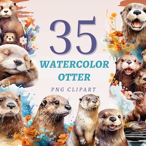 35 clipart de lontra em aquarela, PNGs transparentes de alta qualidade, download instantâneo, uso comercial - imprimíveis de vida marinha, lontras de rio adoráveis