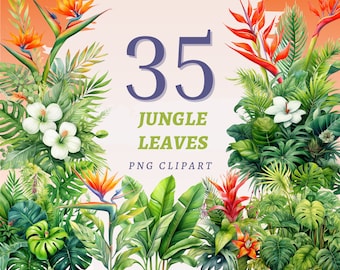 35 Jungle Leaves Clipart, High Quality Transparent PNGs, Instant Download, Commercial Use - Green Plant Illustration, Monstera, Philodendron
