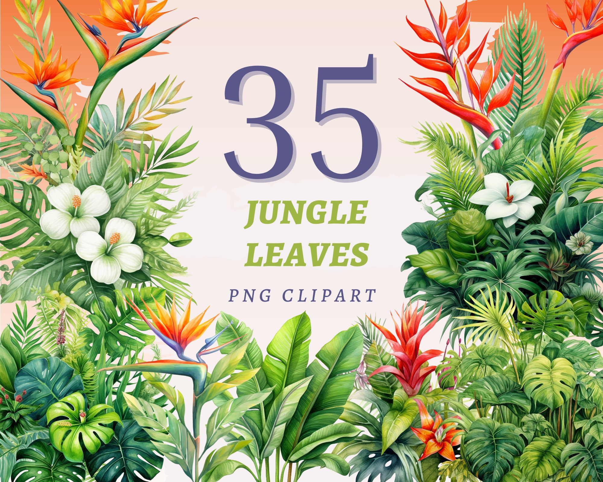 35 Jungle Leaves Clipart, High Quality Transparent PNGs, Instant Download, Commercial Use - Green Plant Illustration, Monstera, Philodendron