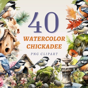 40 cliparts aquarelle mésange, PNG transparents de haute qualité, téléchargement immédiat, usage Commercial - imprimables mésanges, graphiques oiseau bleu