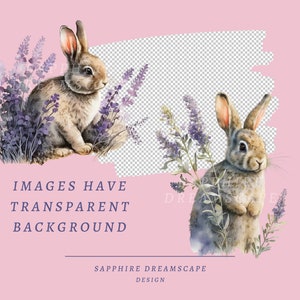 15 Lavender Bunnies Clipart, High Quality Transparent Pngs With Instant ...