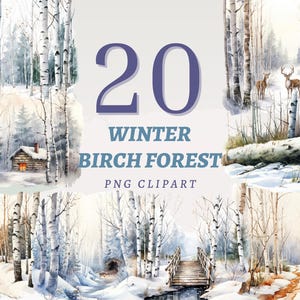 20 hiver forêt de bouleaux Clipart, PNG transparents de haute qualité, téléchargement immédiat, usage Commercial - estampes blanches, images de paysages de neige