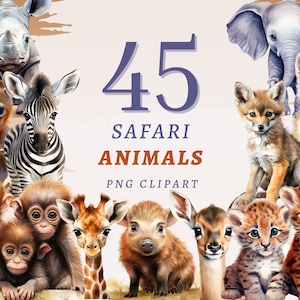 45 Safari Animals Clipart, High Quality Transparent PNGs, Instant Download, Commercial Use - Baby Animal png, Adorable Watercolor Designs