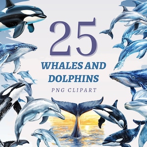 25 cliparts baleines et dauphins, PNG transparents de haute qualité, téléchargement immédiat, usage commercial - imprimables Ocean Life, Illustrations orques