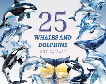 25 Whales and Dolphins Clipart, High Quality Transparent PNGs, Instant Download, Commercial Use - Ocean Life printables, Orca Illustrations