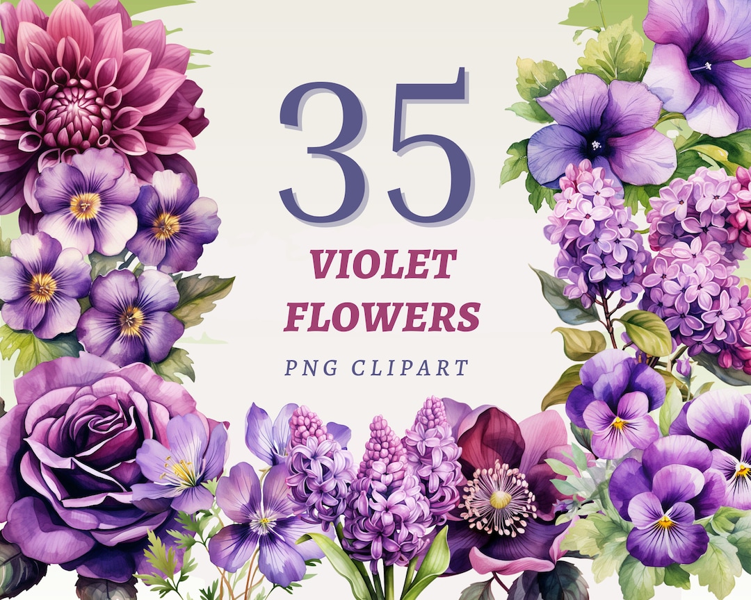 35 Violet Flowers Clipart, High Quality Transparent Pngs, Instant ...