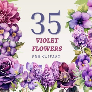 35 Fioletowe Kwiaty Clipart, Wysokiej Jakości Przezroczyste PNG, Natychmiastowe Pobieranie, Wykorzystanie Komercyjne - Fioletowe Kwiaty, Róża, Orchidea, Piwonia, Lawenda