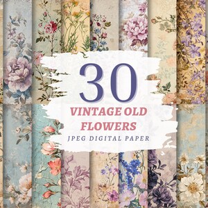 Carta digitale con fiori vintage, JPG di alta qualità, download immediato, uso commerciale, pagine floreali, stampabile con fiori, carta per diario retrò