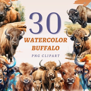 Puede incluir: Un conjunto de 30 ilustraciones de acuarela de búfalos, que presentan diversas poses y ángulos. Las ilustraciones son de estilo realista y representan a los animales en un entorno natural. El texto "30 Watercolor Buffalo PNG Clipart" se muestra en la imagen.