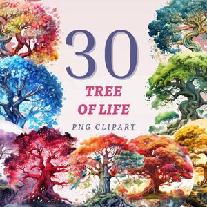 30 cliparts arbre de vie, PNG transparents de haute qualité, téléchargement immédiat, usage commercial - estampes de la forêt enchantée, oeuvre d'arbres colorés