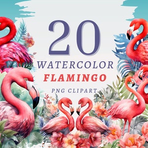 20 aquarel Flamingo Clipart, transparante PNG's van hoge kwaliteit, Instant Download, commercieel gebruik - Pink Bird, Flamingo Flowers, Animal png