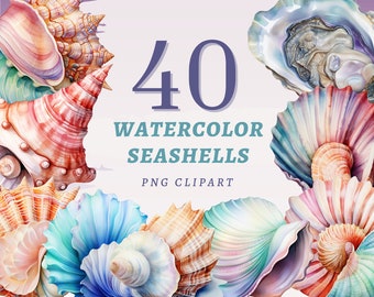 40 Watercolor Seashells Clipart, High Quality Transparent PNGs, Instant Download, Commercial Use - Conch Shell print, Beach Illustrations