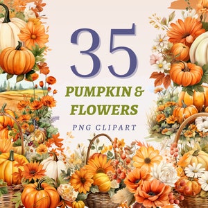 35 pompoenen en bloemen clipart, hoge kwaliteit transparante png's, instant download, commercieel gebruik - bladeren illustraties, herfst kunstwerken