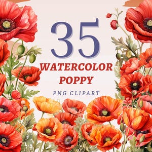35 cliparts aquarelle coquelicot, PNG transparents de haute qualité, téléchargement immédiat, usage commercial - symbole du Memorial Day, illustrations de coquelicots