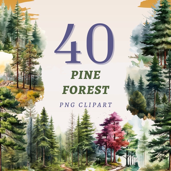 40 Pine Forest Clipart, High Quality Transparent PNGs, Instant Download, Commercial Use - Woodland Trees printables, Nature Landscapes set