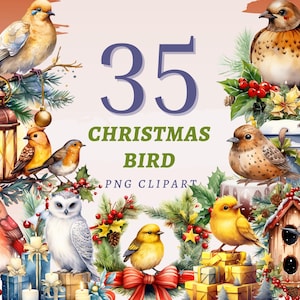 35 cliparts d'oiseau de Noël, PNG transparents de haute qualité, téléchargement immédiat, usage commercial - impressions hibou d'hiver, imprimables vacances canaris