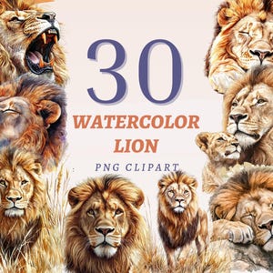 30 Clipart di leoni ad acquerello Illustrazione del regno animale Pacchetto di stampe di facce di leone Grafica safari per maglietta stampabile Arte del re della giungla
