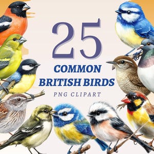 Clipart de 25 oiseaux britanniques communs Illustration de rouge-gorge Journal d'observation des oiseaux imprimable Oeuvres d'art animalières britanniques aquarelle Design Nature coloré