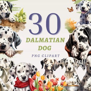 30 Dalmatiner Hund Clipart, hochwertige transparente PNGs, sofortiger Download, kommerzielle Nutzung - glückliche Hunde Printables, Cartoon Welpen Grafiken