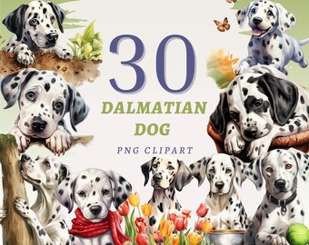 30 Dalmatiner Hund Clipart, hochwertige transparente PNGs, sofortiger Download, kommerzielle Nutzung - glückliche Hunde Printables, Cartoon Welpen Grafiken