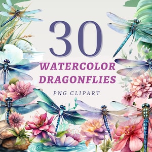 May include: A set of 30 watercolour dragonfly illustrations. The dragonflies are depicted in various poses and colours, with delicate wings and intricate details. The illustrations are perfect for adding a touch of nature to your designs.