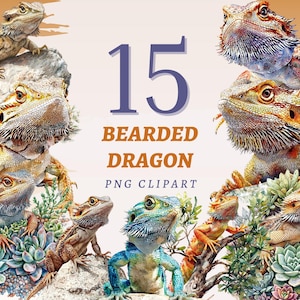 15 Bearded Dragon Clipart, High Quality Transparent PNGs, Instant Download, Commercial Use - Reptile Illustration, Exotic Pet Graphics