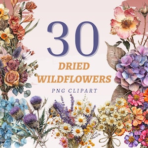 30 clipart de flores silvestres secas, PNGs transparentes de alta qualidade, download instantâneo, uso comercial - design floral vintage, arte de flores boho
