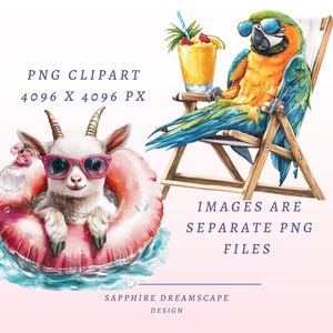 May include: A watercolor illustration of a goat wearing pink sunglasses and a pink inflatable ring floating in blue water. A blue and yellow parrot wearing sunglasses sits on a wooden beach chair with a tropical drink.