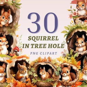 30 cliparts écureuil dans un trou d'arbre, PNG transparents de haute qualité, téléchargement immédiat, usage commercial - estampes d'animaux d'automne, oeuvres d'art de la forêt