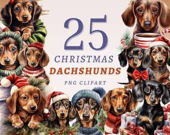 25 kerst teckels clipart, hoge kwaliteit transparante PNG's, Instant Download, commercieel gebruik - Wiener Dog png bundel, kerst trui puppy