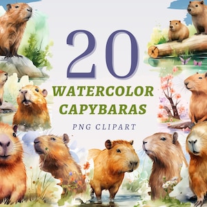 20 aquarel capibara's clipart, hoge kwaliteit transparante png's, instant download, commercieel gebruik - capibara illustraties, vijver dier afbeelding