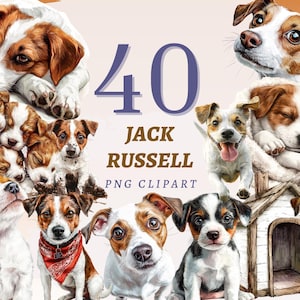 40 imágenes prediseñadas de Jack Russell, PNG transparentes de alta calidad, descarga instantánea, uso comercial - Paquete de ilustraciones de mascotas felices, conjunto de gráficos de perros