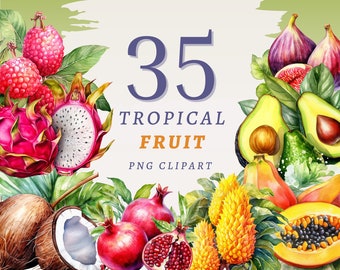 35 tropiska frukter Clipart, högkvalitativa transparenta PNG-bilder, omedelbar nedladdning, kommersiellt bruk - papaya, drakfrukt, passionsfrukt, mango, fikon