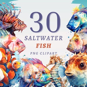 30 imágenes prediseñadas de peces de agua salada, PNG transparentes de alta calidad, descarga instantánea, uso comercial: animales marinos, peces de océano, atún, tiburón, barracuda