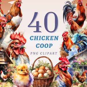 40 Chicken Coop Clipart, PNG transparents de haute qualité, Téléchargement instantané, Utilisation commerciale - Poulets et coqs imprimables, Ensemble de paniers à œufs