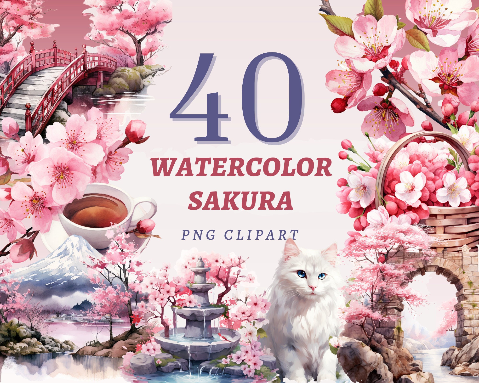 Cherry Blossom China UK