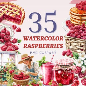 35 Clipart de Framboesas em Aquarela Decoração de Jardim de Verão Impressão de Frutas Vermelhas Arte de Comida de Frutas Diário de Lixo Imagem PNG Uso Comercial Completo