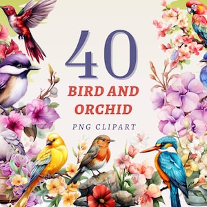 40 Bird and Orchid Clipart, High Quality Transparent PNGs, Instant Download, Commercial Use - Garden graphics, Colorful Birds print bundle