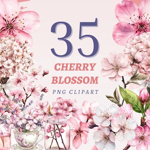 35 imágenes prediseñadas de flores de cerezo, ilustraciones de flores de Sakura, ramas rosas, diseños florales de primavera, ilustraciones de jardines zen