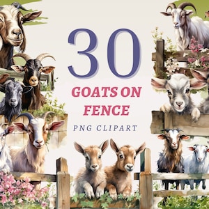 30 cabras em cerca clipart, PNGs transparentes de alta qualidade, download instantâneo, uso comercial - imprimíveis de cabras de fazenda, ilustrações de animais de celeiro